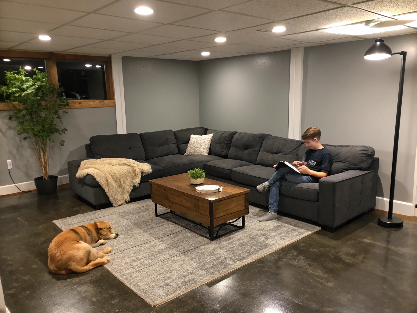 Basement Finishing